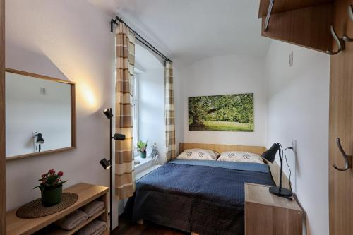 Habitación pequeña con cama y ventana en Apartmány U Aloise, en Dolní Morava