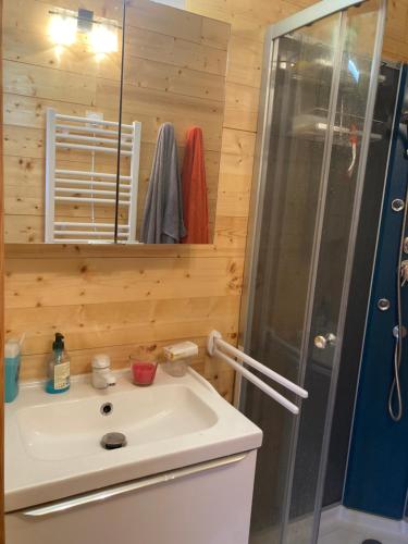 uma casa de banho com um lavatório branco e um chuveiro em HOUDARLING Chalet avec Hammam Sauna Jacuzzi Privatif em Nîmes