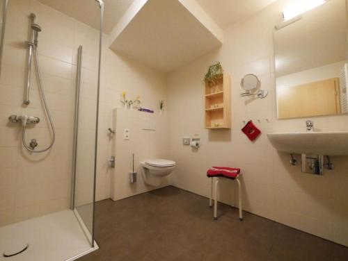 a bathroom with a shower and a toilet and a sink at Ferienwohnung 1 in Ochsenhausen