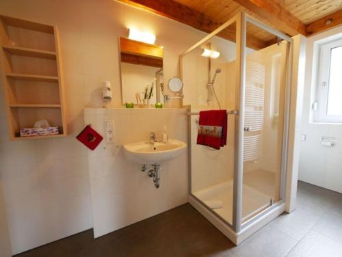 uma casa de banho com um chuveiro e um lavatório. em Ferienwohnung 7 em Ochsenhausen