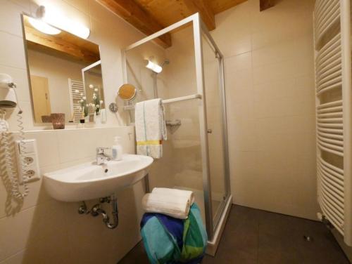 y baño con lavabo y ducha. en Ferienwohnung 5 en Ochsenhausen