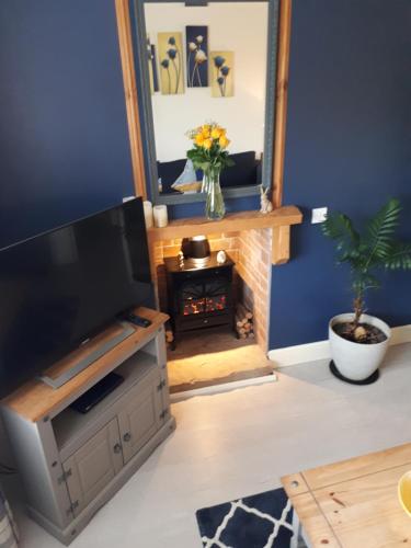 a living room with a television and a fireplace at SWIFT HALF in Ballyconnell