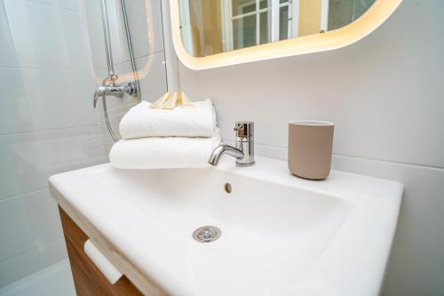 ein Badezimmer mit einem weißen Waschbecken und einem Spiegel in der Unterkunft Le Sully - Beaucoup de charme à 100m du château in Pau
