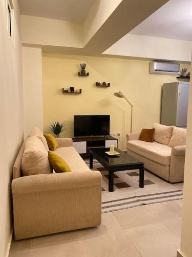 a living room with two couches and a tv at DS Apartment (semi-basement) in Athens