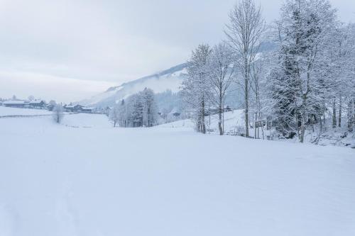 a snow covered field with trees and a mountain at Schwüwong - Apartment 02 in Kelchsau