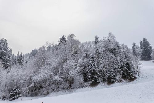 Schwüwong - Apartment 12 en invierno
