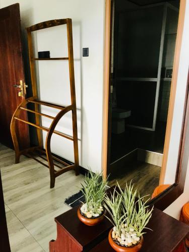 a room with two potted plants on a table at Ella HIDE VIEW in Ella