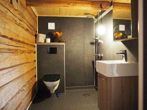 a bathroom with a toilet and a sink at Stabburet, Lensmannsgården in Namsos