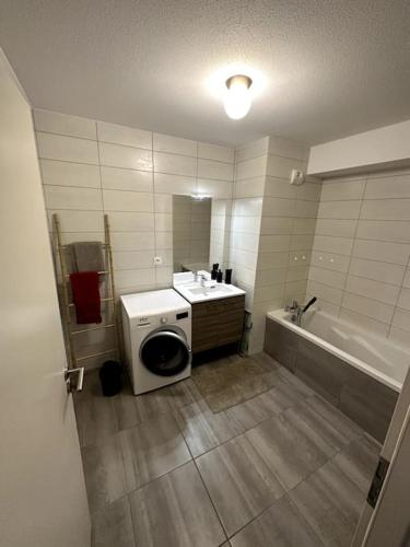 une salle de bain avec un lavabo et une machine à laver dans l'établissement Superbe appartement proche de Strasbourg, à Bischheim