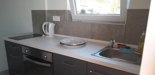 encimera de cocina con fregadero y microondas en Vila Zdenka Apartmants, en Crikvenica