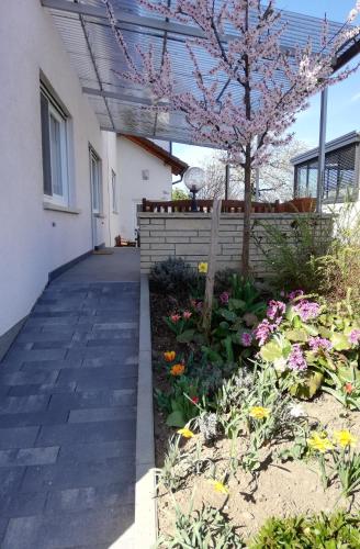 Κήπος έξω από το Ferienhaus Rauwolf mit 2 Ferienwohnungen