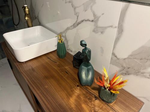 a bathroom counter with a sink and two plants at Emiliadourohouse in Marco de Canaveses