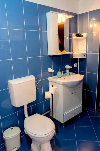Koupelna v ubytování Studio Bucuria Corbu