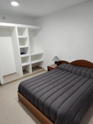 1 dormitorio con 1 cama grande y estanterías blancas en Los departamentos de Eva en San Antonio Oeste
