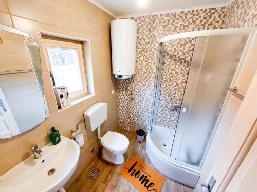 a bathroom with a shower and a toilet and a sink at Dušan_guest_house in Kolašin