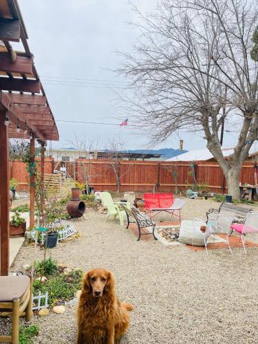 New Cuyama Guest House – Photos 3