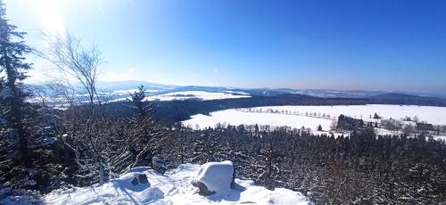 Naturlandskabet i nærheden af chaletet