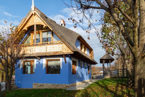 a blue house with a thatched roof at Casele cu Stuf B&B Haus Ulrike in Sălicea