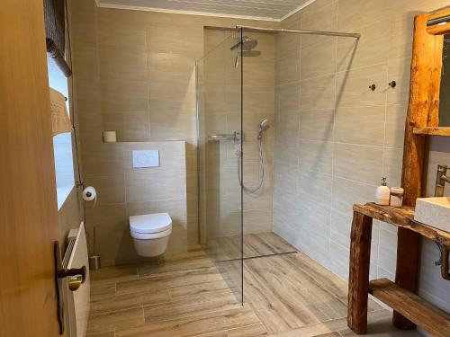 een badkamer met een douche en een toilet bij Landhaus Marmorata in Sattendorf