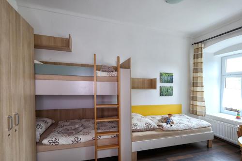a bedroom with two bunk beds with a ladder at Apartmány U Aloise in Dolní Morava