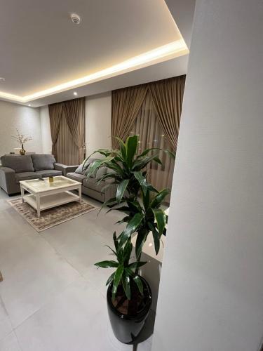 Lova arba lovos apgyvendinimo įstaigoje Amazing apartment