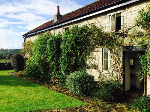 an ivy covered house with a green yard at Peaceful stone barn conversion in Somerset in Hurcot