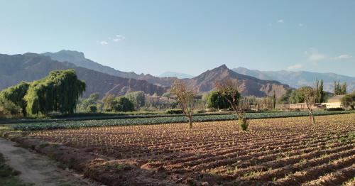 Munay ki