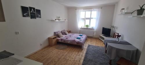 Apartmán U Dvora