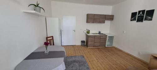 ein Wohnzimmer mit einem Bett und eine Küche in der Unterkunft Ubytovaní U Dvora in Bohumín