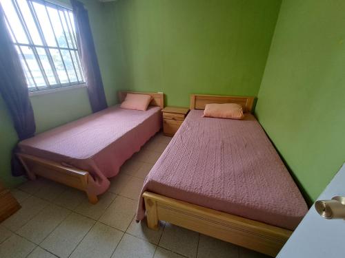 2 camas en una habitación con paredes verdes en Casa forestal, en Viña del Mar