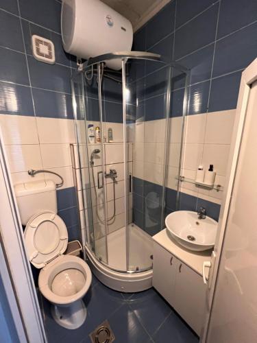 a bathroom with a shower and a toilet and a sink at Cute little apartment in Belgrade