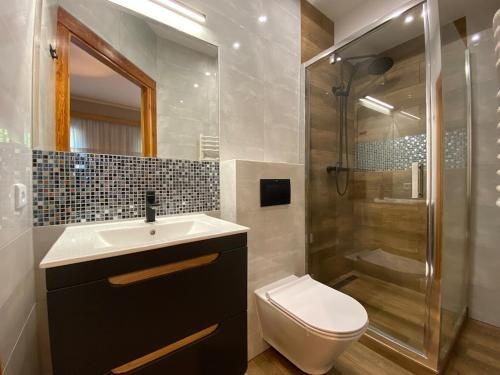 a bathroom with a toilet and a sink and a shower at Tyrolska Chata in Świeradów-Zdrój
