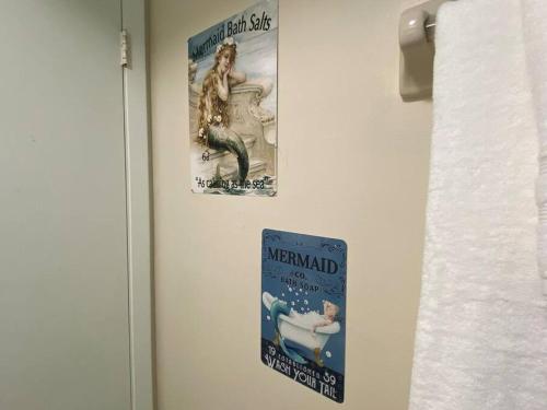 two posters of mermaids hanging on a refrigerator at Professor Rousseau's Mermaid Lagoon in Crystal River