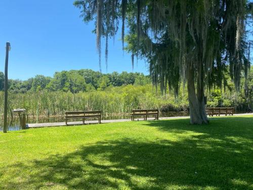 two park benches sitting under a tree in a park at Professor Rousseau's Manatee Bay in Crystal River