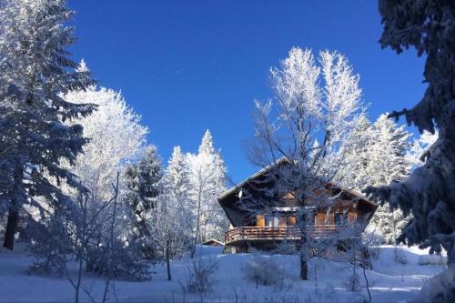 a log cabin in the snow with snow covered trees at Chalet Les Airelles in Montcel