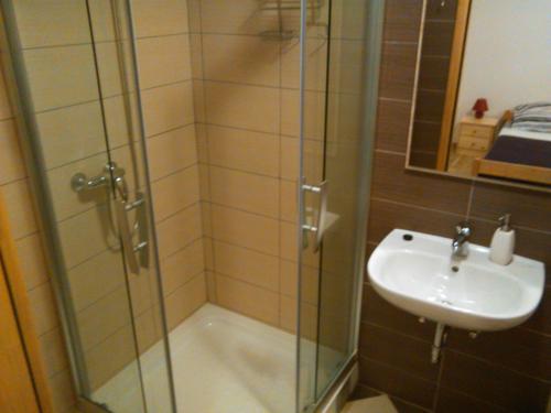 a shower with a glass door and a sink at Rooms LU&LA in Velika Gorica