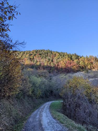 a dirt road in the middle of a hill at Country old stone house immerse in nature in Lequio Berria
