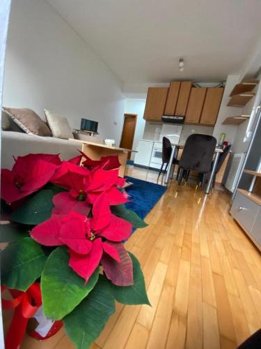 a living room with a plant with red flowers at Tea Apartment in Skopje