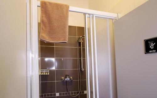 a bathroom with a shower with a towel on the door at Apartmány U Aloise in Dolní Morava