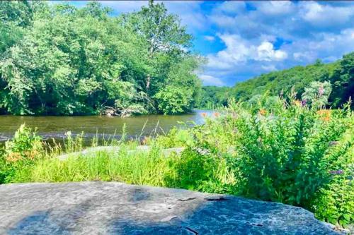 a view of a river with trees and a rock at Forest and River Side Tranquil House in Montague