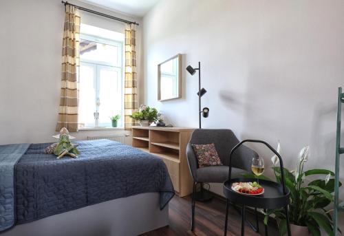 a bedroom with a bed and a chair and a window at Apartmány U Aloise in Dolní Morava