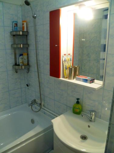 Vannas istaba naktsmītnē Romanilor - Studio First Floor