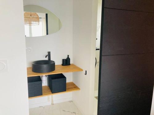 ein Bad mit einem Waschbecken und einem Spiegel in der Unterkunft Liv'In St Seb in Saint-Sébastien-sur-Loire