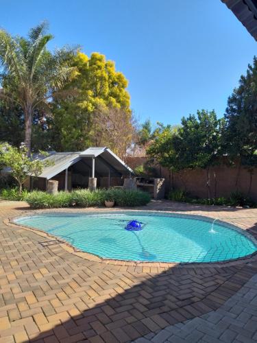 een zwembad in het midden van een tuin bij ZUCH Accommodation at Pafuri Self Catering - Guest Suite in Polokwane