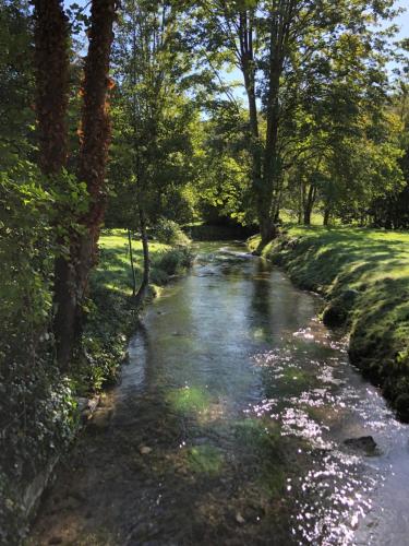 a stream in the middle of a field with trees at Moulin à Eau - Domaine de 3 Hectares - Borne électrique - Chiens acceptés in Hondouville