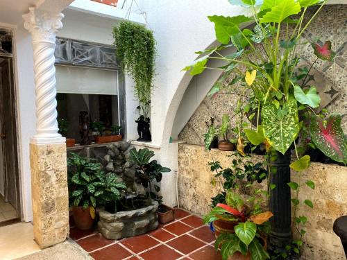a room with a bunch of plants and a column at Luna Cartagena Airport Hotel in Cartagena de Indias