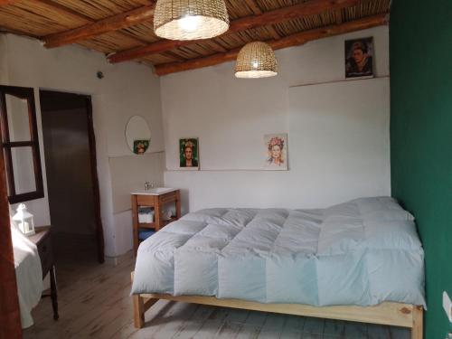 1 dormitorio con cama y pared verde en TERRAZAS de SUMAJ en Maimará