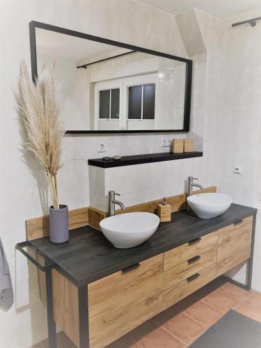 a bathroom with two sinks and a large mirror at Haus-Am-See-Pratzschwitz in Pirna