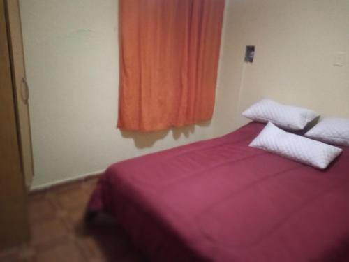 1 dormitorio con 1 cama rosa y 2 almohadas en House Ramblon en San Luis