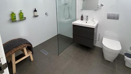 een badkamer met een toilet, een wastafel en een douche bij The Orange House in Premaydena